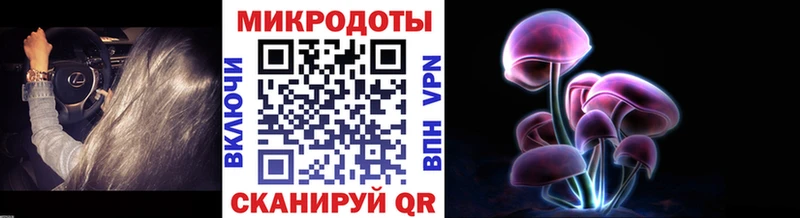 blacksprut Сольвычегодск Псилоцибиновые грибы MAGIC MUSHROOMS